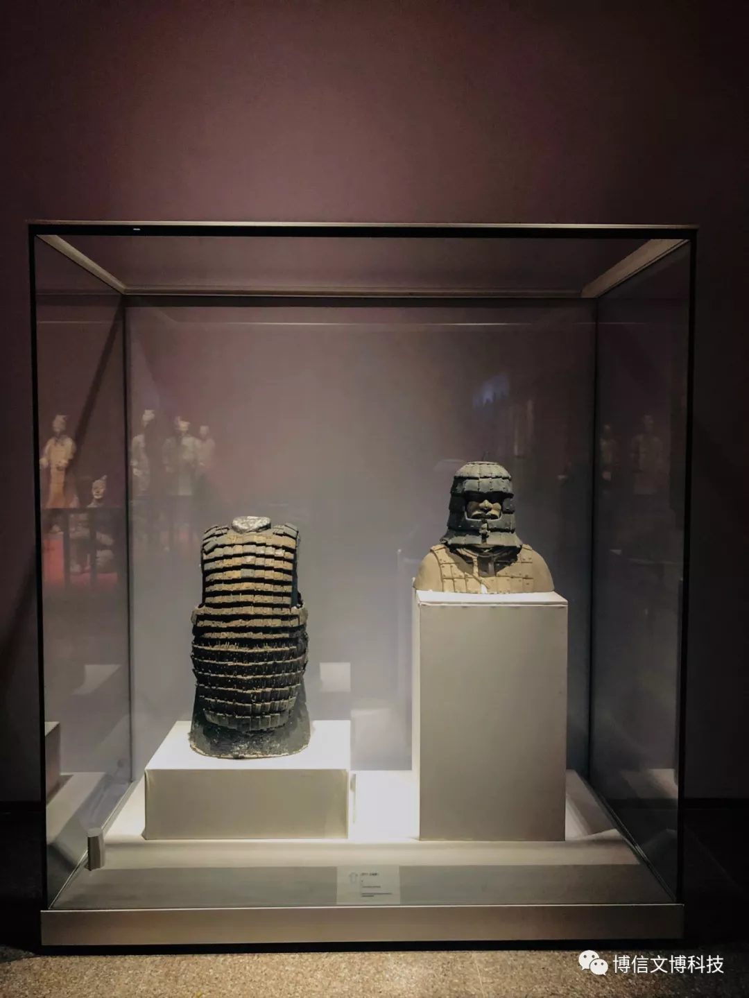 博（bó）物館展櫃