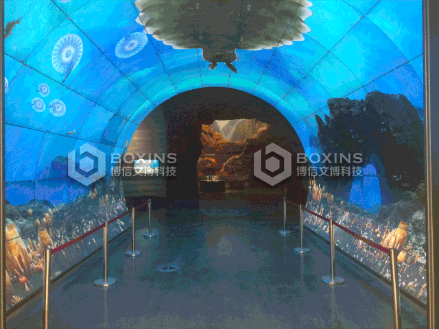 博物館（guǎn）展櫃