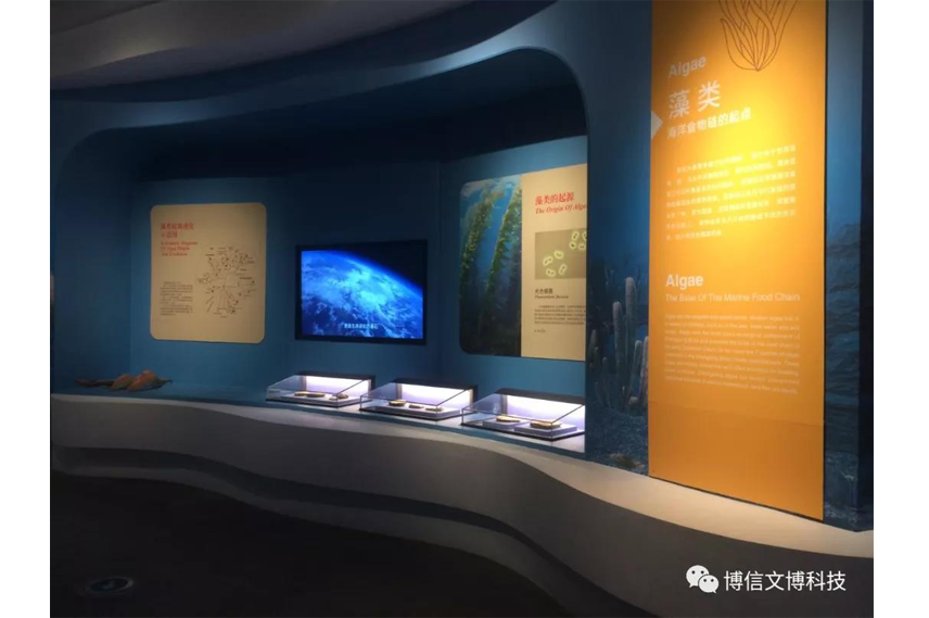 博物（wù）館（guǎn）展櫃（guì）