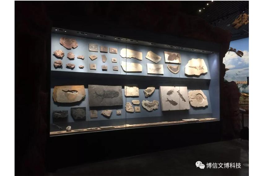 博物館（guǎn）通櫃