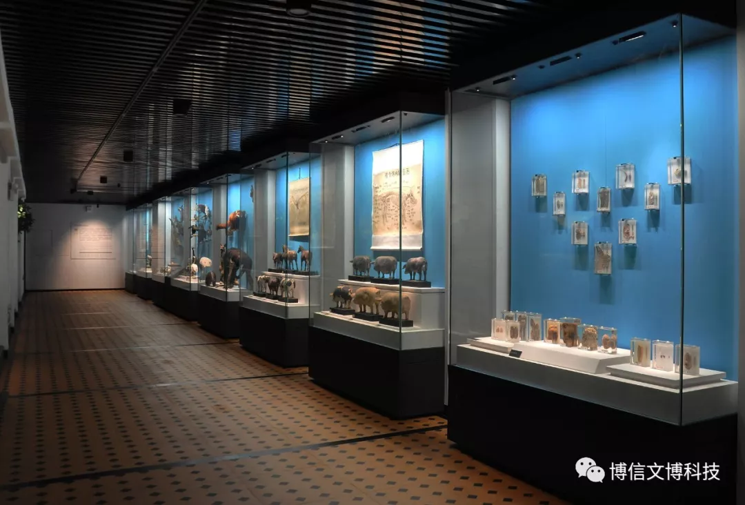 博物（wù）館展櫃