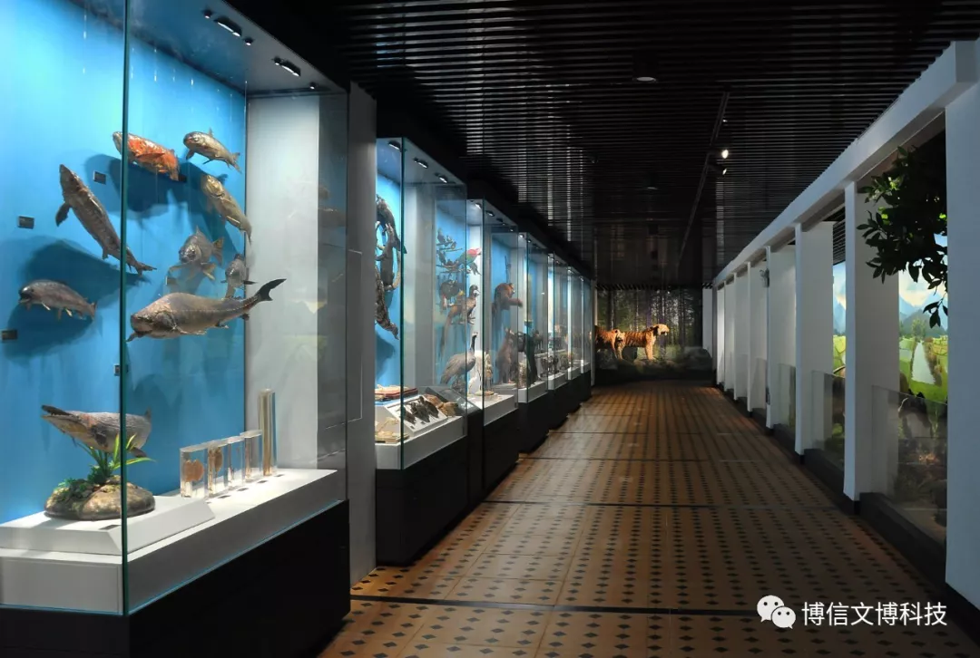 博物館展櫃（guì）