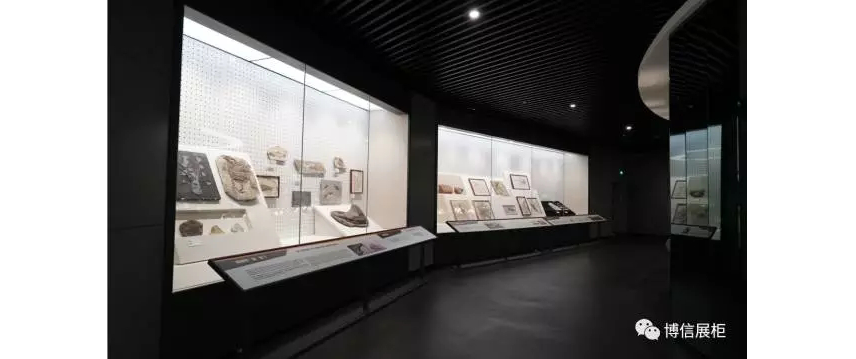 博物館展櫃